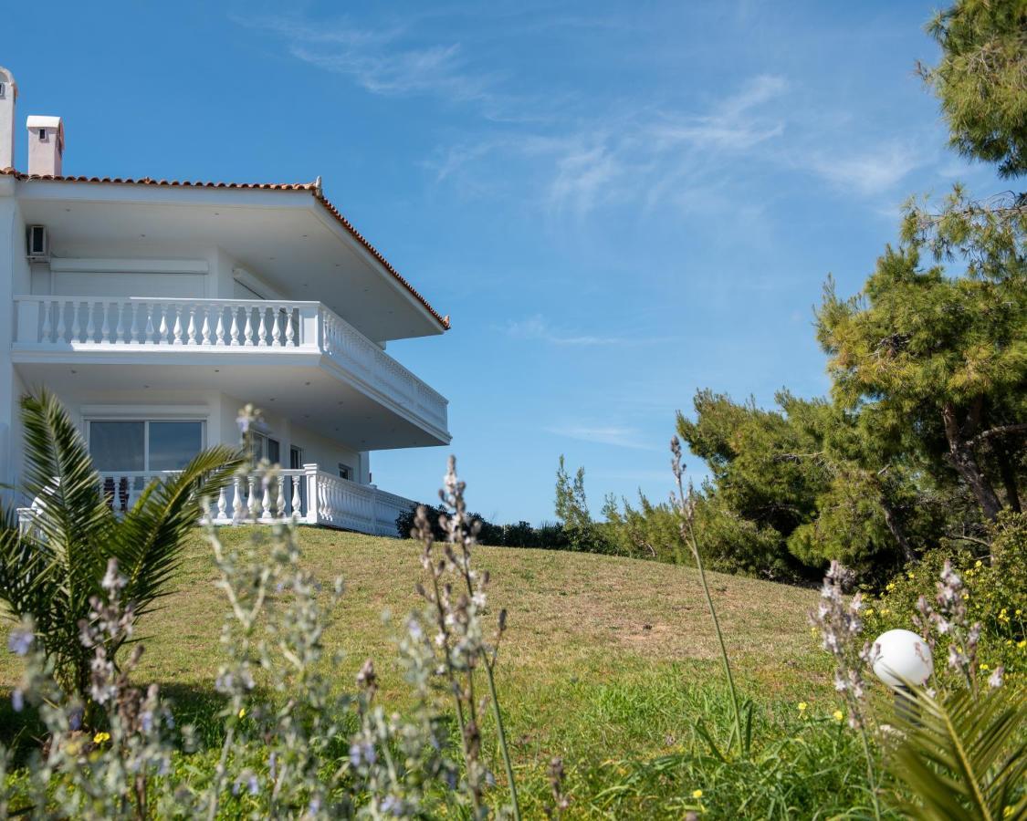 Sounio Golden View Villas 苏尼翁 外观 照片