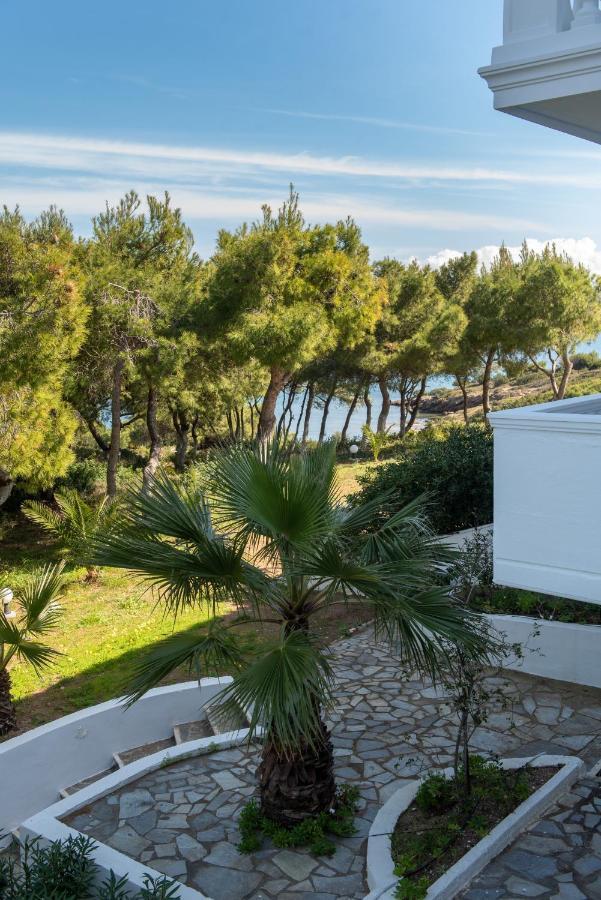 Sounio Golden View Villas 苏尼翁 外观 照片